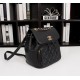 Dior Lady Bag 20CM---1:1