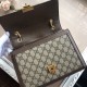 LV NEONOE bag 1:1