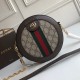 LV NEONOE bag 1:1