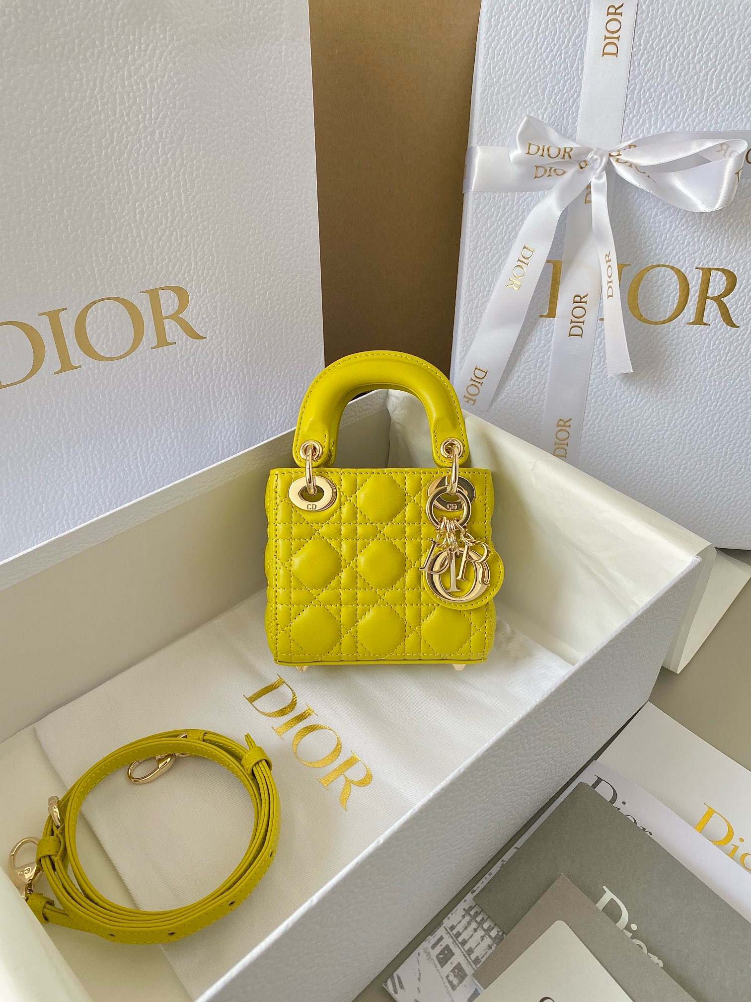 DIOR micro lady bag