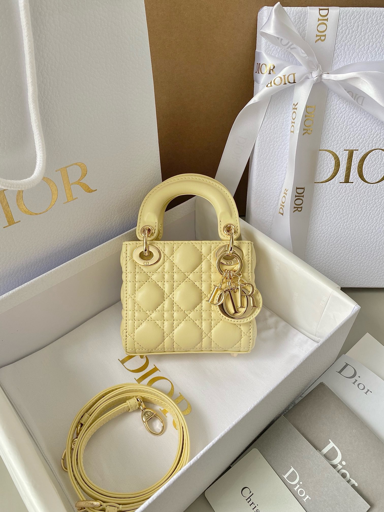 DIOR micro lady bag