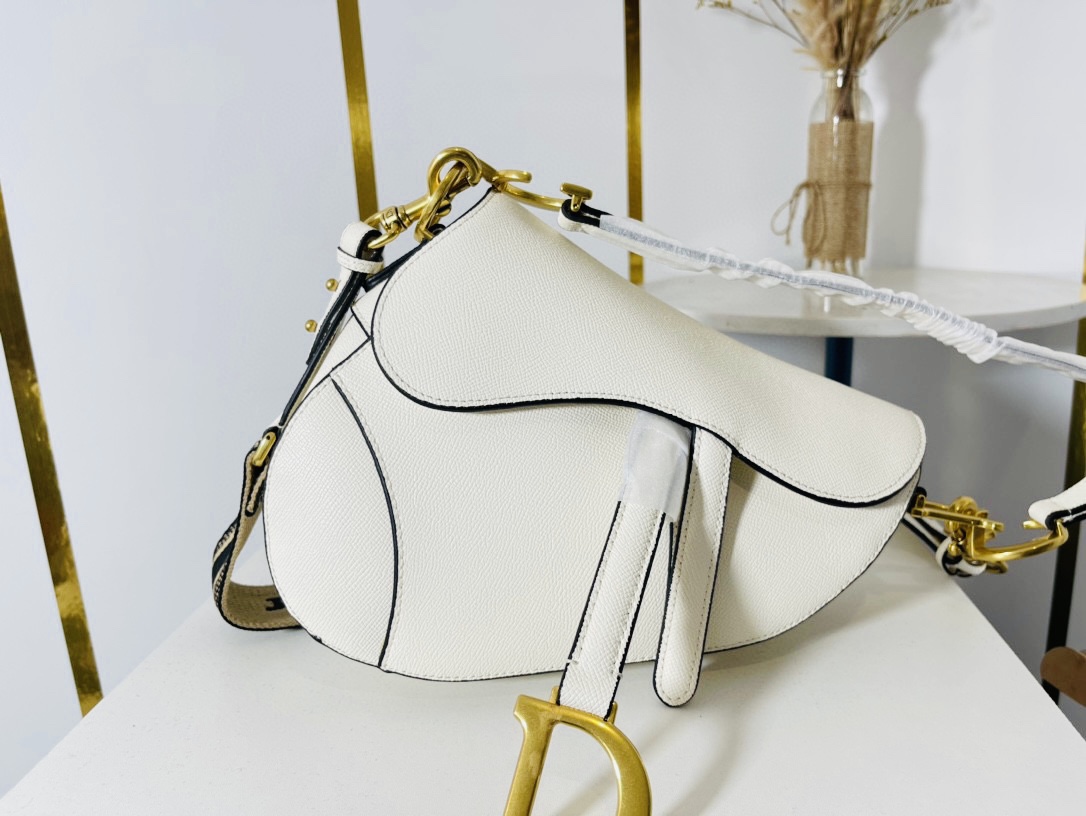 DIOR saddle bag