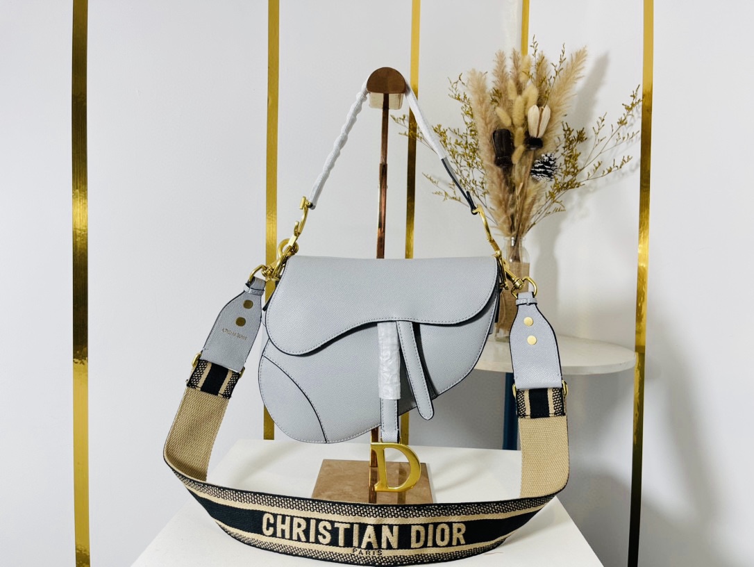 DIOR saddle bag