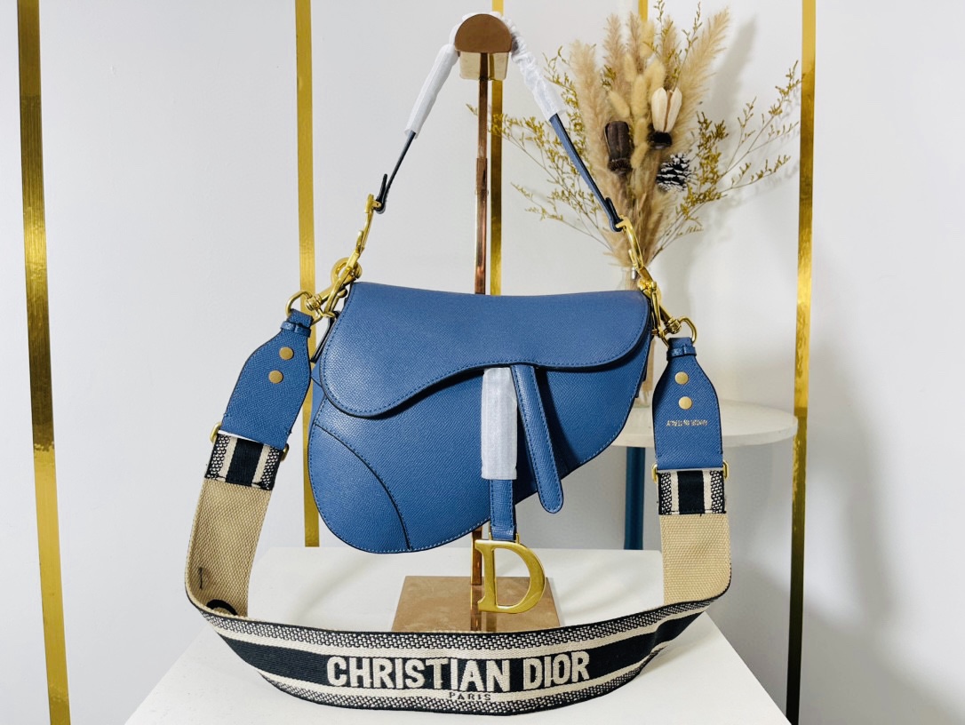 DIOR saddle bag