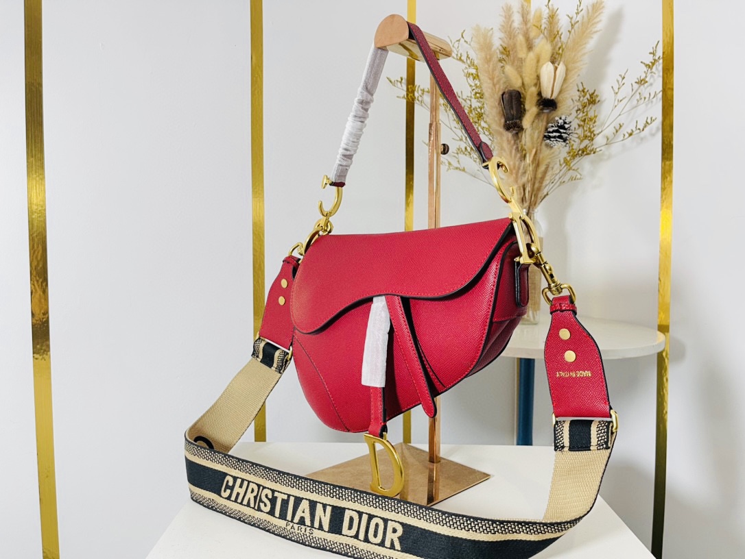 DIOR saddle bag