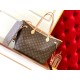 LV handbag