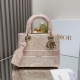 DIOR Lady Embroidered princess bag