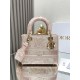 DIOR Lady Embroidered princess bag