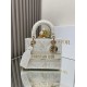 DIOR Lady Embroidered princess bag