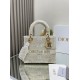 DIOR Lady Embroidered princess bag