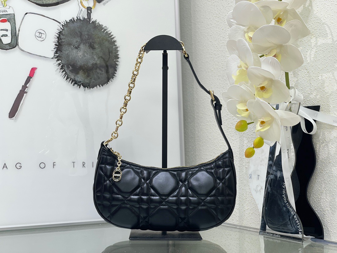 DIOR lounge bag