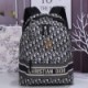 DIOR TRAVEL BACKPACK M6104STZQ_M928 (41cm*35cm*15cm)