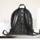 DIOR SMALL DIOR BACKPACK M9221UNGF_M900 (31.5cm*21cm*13cm)