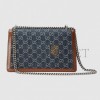 GUCCI DIONYSUS SMALL SHOULDER BAG 400249 2KQFN 4483 (28*17*9cm)