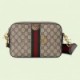 GUCCI OPHIDIA GG SHOULDER BAG 699439 9C2ST 8920 (23.5*16*4.5cm)