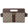 GUCCI OPHIDIA BELT BAG 704196 96IWT 8745  (22.5*14*2.5cm）