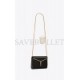 YSL VICKY MINIAUDIERE IN PLEXIGLASS 716543JA70J1000 (18*13.5*5cm)