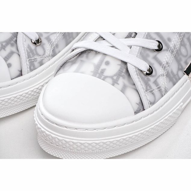  Dior B23 Oblique Slip-on Low Top Sneakers Sheer Print Sneakers