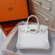  Hermes crocodile print