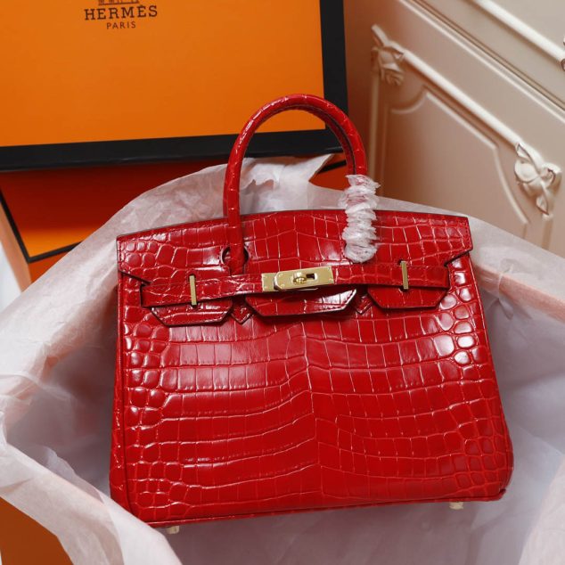  Hermes Crocodile