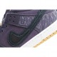  Nike SB Dunk Low Purple Low Top