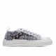  Dior B23 Oblique Slip-on Low Top Sneakers Sheer Print Sneakers