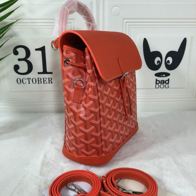  Goyard size: 19*9*20cm