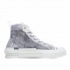  Dior B23 Oblique Slip-on Low Top Sneakers Sheer Print Sneakers