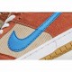  Nike SB Dunk Low Pro Color