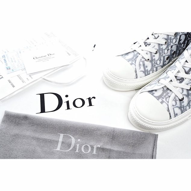  Dior B23 Oblique Slip-on Low Top Sneakers Sheer Print Sneakers