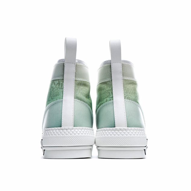  Dior B23 Oblique Slip-on Low Top Sneakers Sheer Print Sneakers