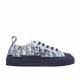  Dior B23 Oblique Slip-on Low Top Sneakers Sheer Print Sneakers