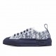  Dior B23 Oblique Slip-on Low Top Sneakers Sheer Print Sneakers