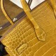  Crocodile Leather Bag Size: 25cm