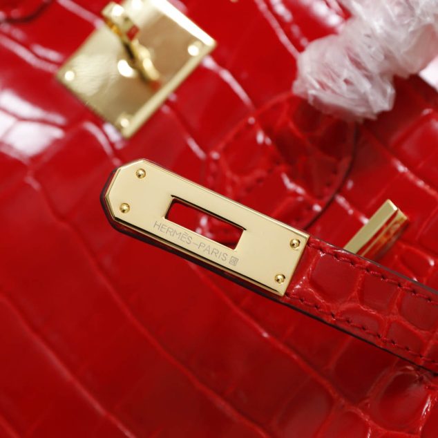  Hermes Crocodile