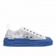  Dior B23 Oblique Slip-on Low Top Sneakers Sheer Print Sneakers