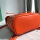  Alpin Mini shoulder bag Ref: GY020195, Size: 18.5*21.5.*8.5 cm