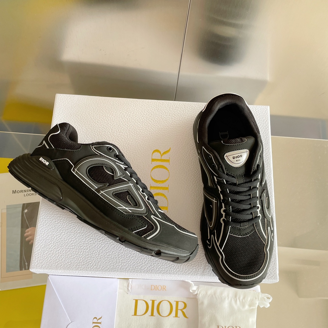 DIOR b30 shoes reflective 